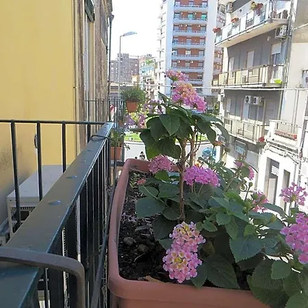 Al Mare In Citta Bed & Breakfast